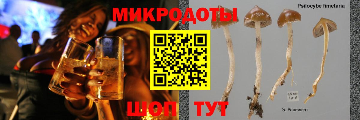 Пыть-Ях  Псилоцибиновые грибы Psilocybine cubensis  Вход с VPN 